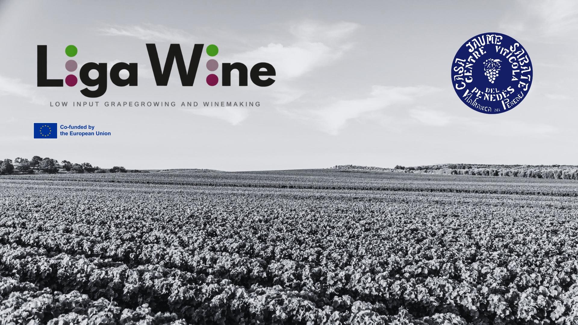 LIGAWINE: una xarxa europea per impulsar noves solucions en viticultura i enologia LIGAWINE, projecte europeu de viticultura i enologia
