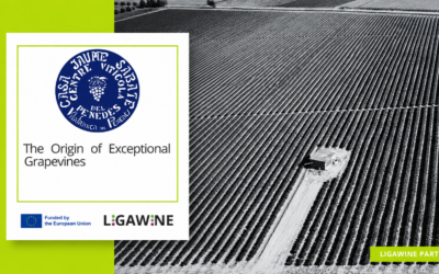 ENRIC REGULL participa en el proyecto europeo LIGAWINE