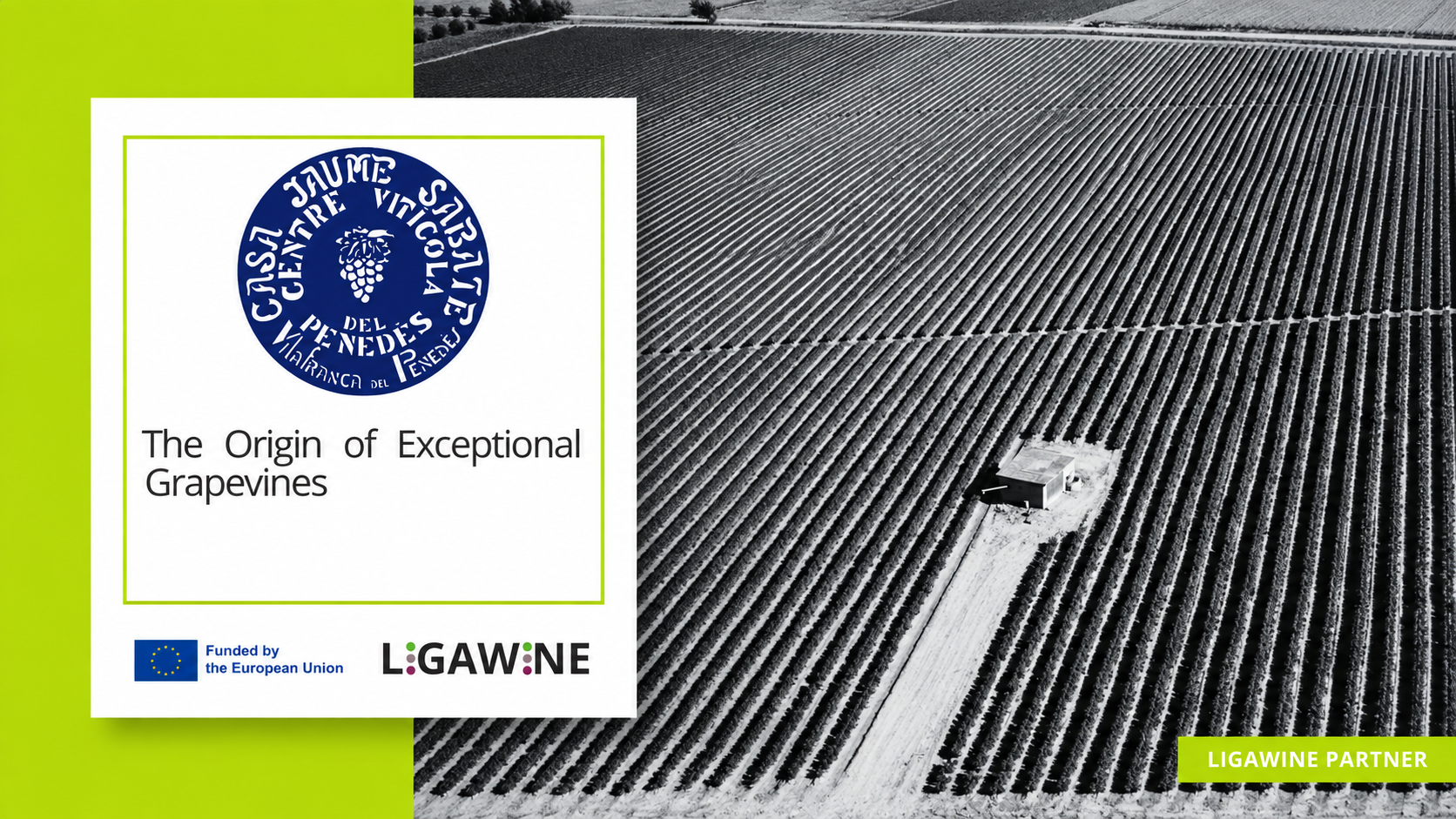 ChatGPT Image 15 de set. del 2026, 11_24_26 ENRIC REGULL participa en el projecte europeu LIGAWINE
